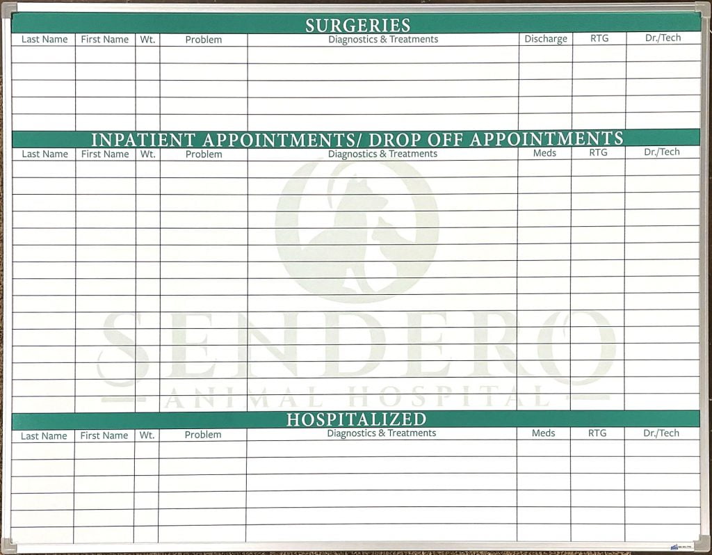 Animal Hospital Daily Patient Whiteboard Healthcare