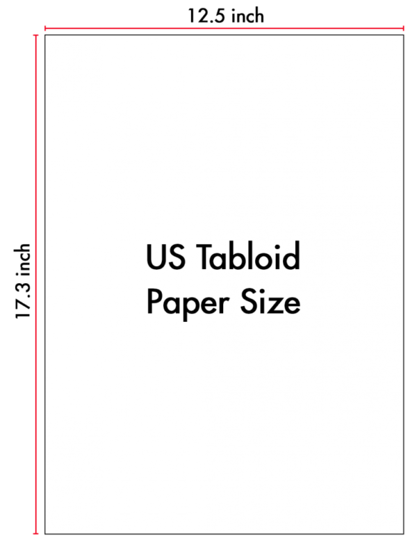 Solo Document Holders (Pack of 6, Tabloid) Magiboards USA