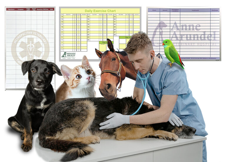 Veterinary Custom Whiteboards