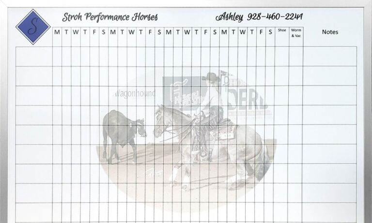 How To Use a Whiteboard To Stay More Organized