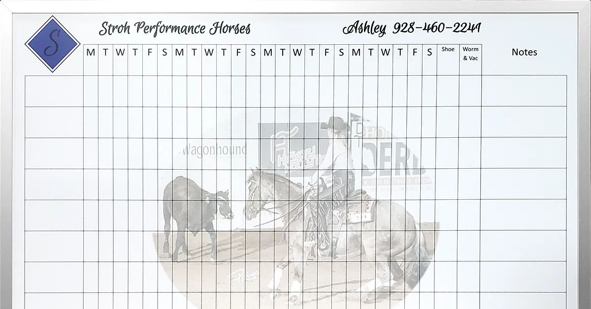 How Magnetic Whiteboards Drive Team Collaboration